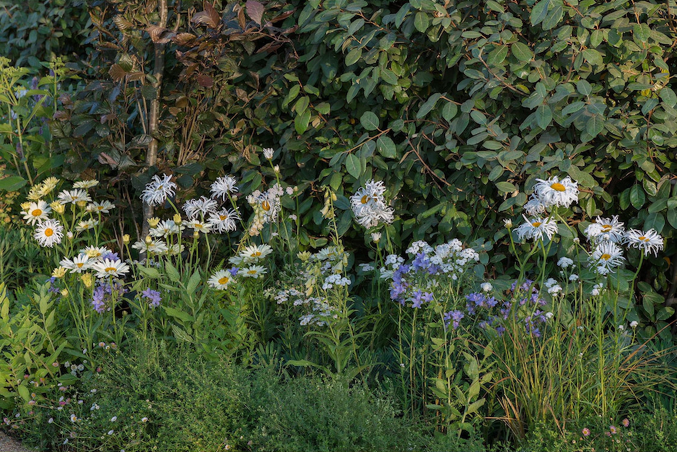 The Limbcare Wellbeing Garden Hampton Court Flower Show 2018 by landscape designer Edward Paul Mairis
