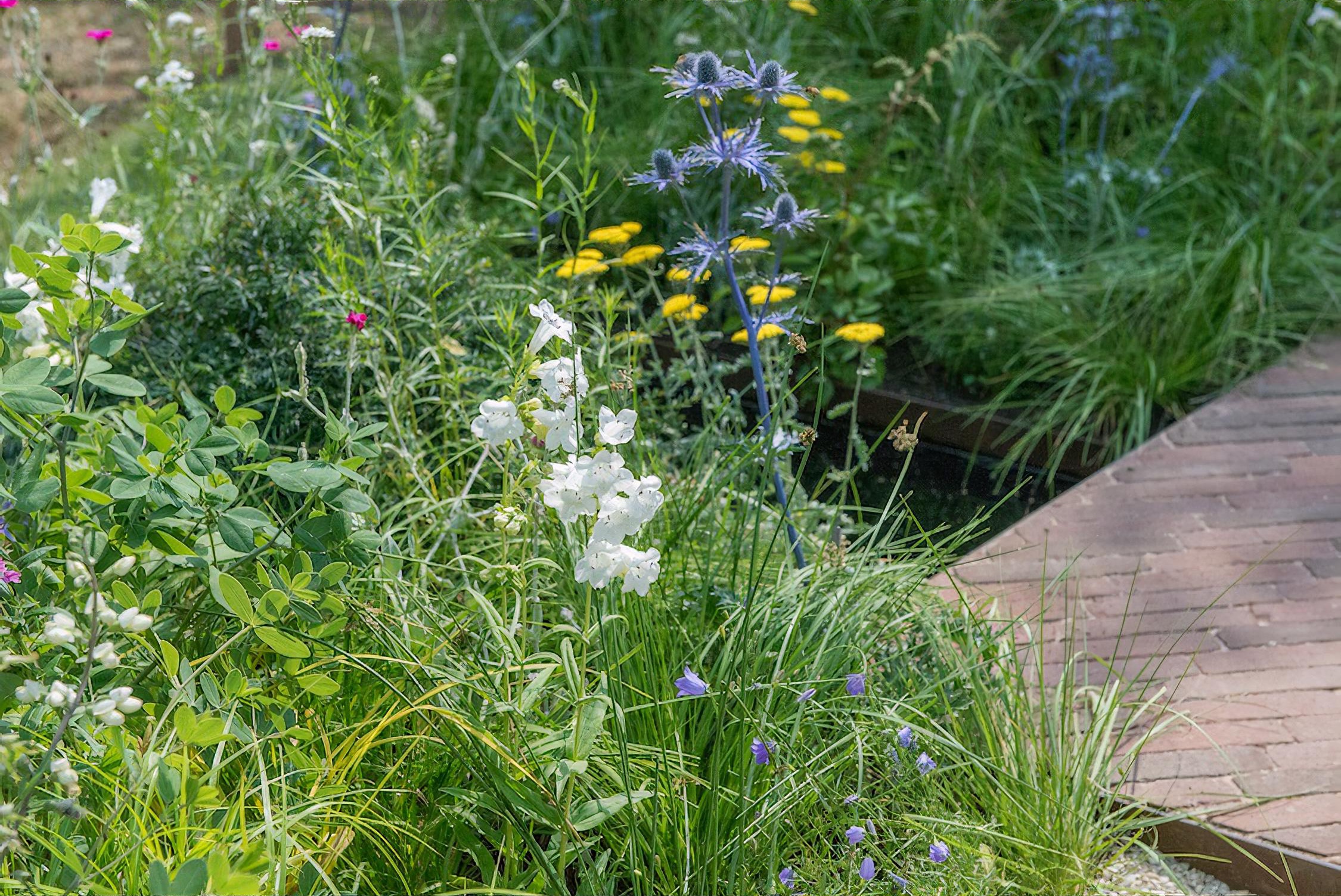 The South Oxfordshire Landscape Garden Hampton Court Flower Show 2018 by garden designer Rory Andrews