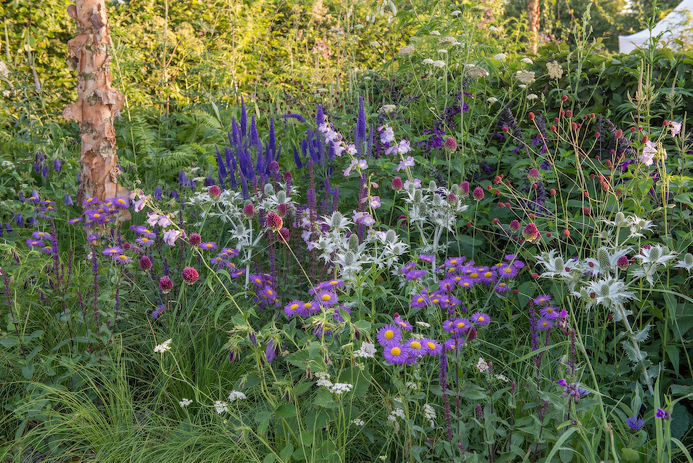The South West Water Green Garden Hampton Court Flower Show 2018 by Devon garden designer Tom Simpson