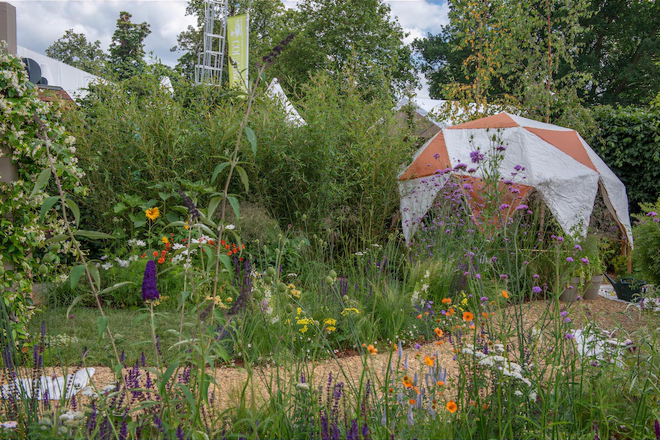 The Year of Green Action Garden RHS Hampton Court Flower Show 2019 by Helen J Rosevear and Jane Stoneham garden designers