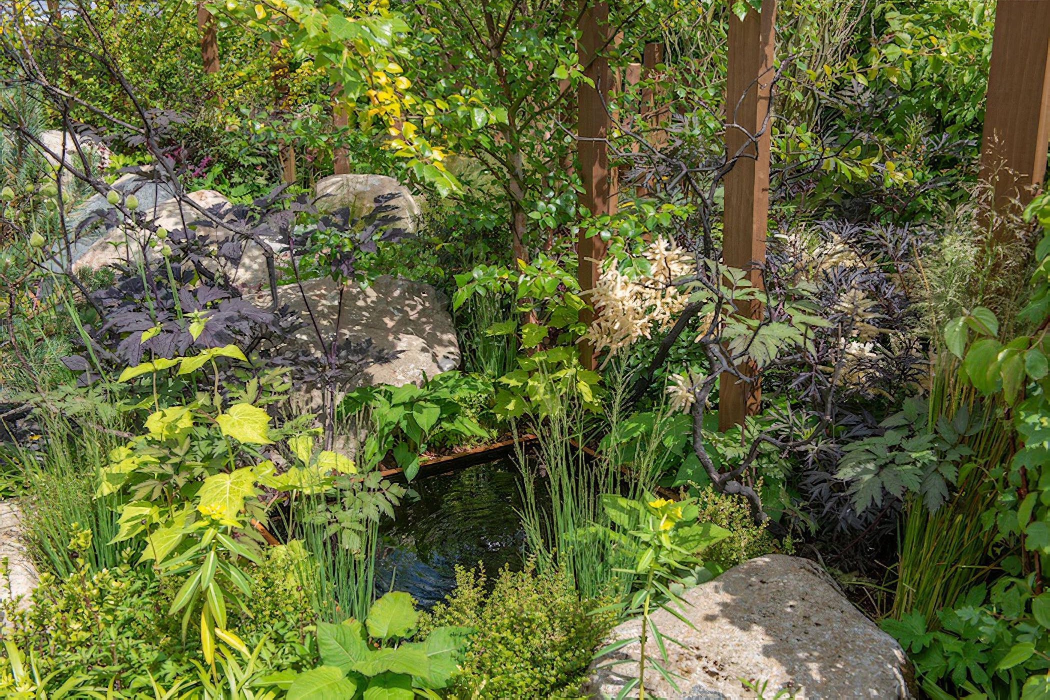 Through Your Eyes Garden RHS Hampton Court Flower Show 2019 By garden designer Lawrence Roberts
