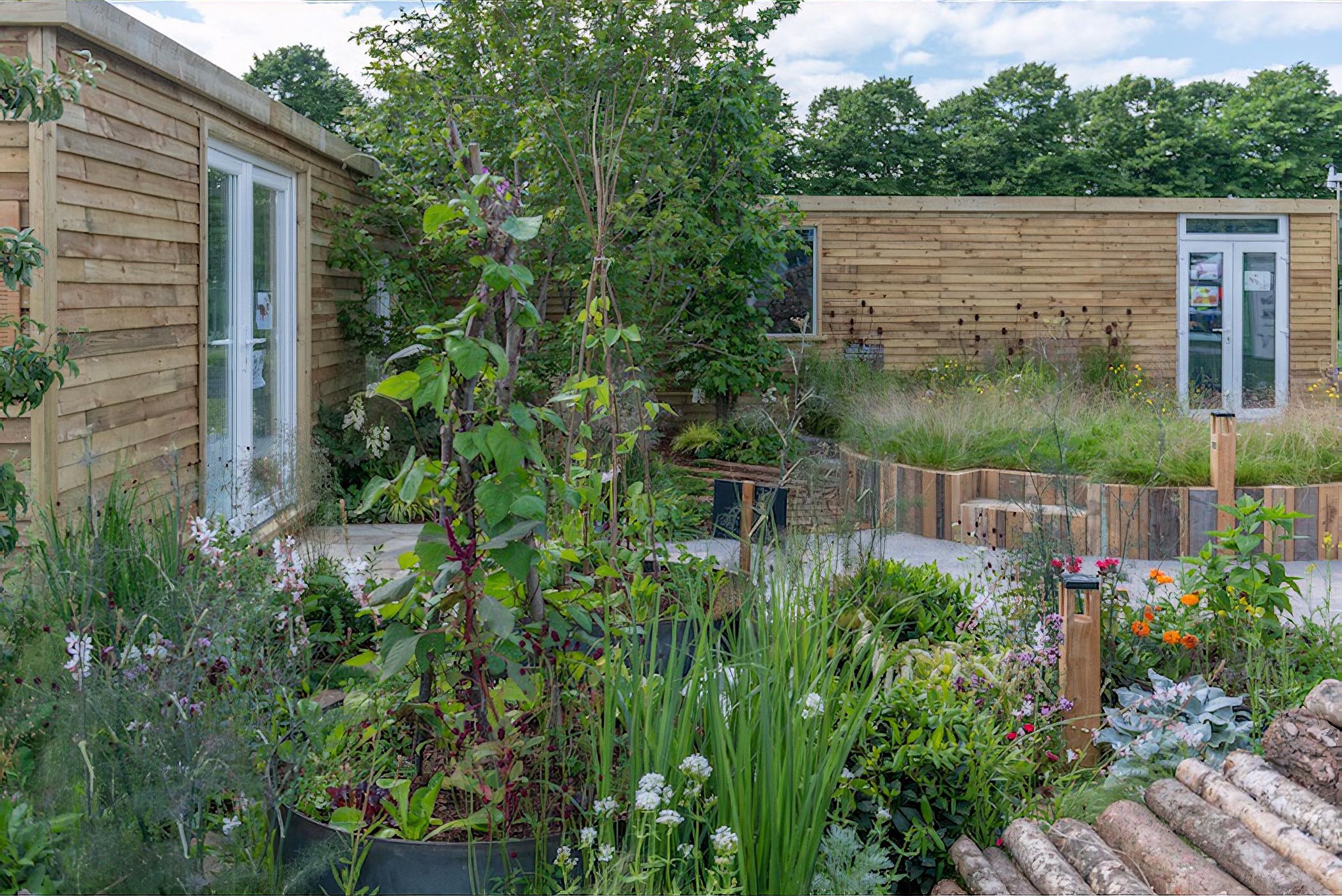 Believe in Tomorrow Garden RHS Hampton Court Flower Show 2019 by Garden Designer Seonaid Royall