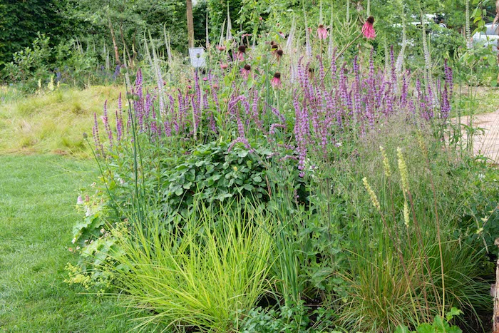 The Cancer Research UK Legacy Garden by award-winning garden designer Tom Simpson