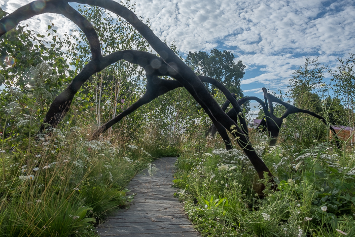 The Connections Garden by garden designer Ryan McMahon for Hampton Court Flower Show 2022