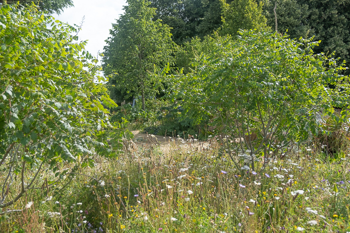 The Sarah Eberle – Iconic Horticultural Hero garden by garden designer Sarah Eberle for Hampton Court Flower Show 2022