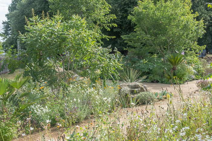 The Sarah Eberle – Iconic Horticultural Hero garden by garden designer Sarah Eberle for Hampton Court Flower Show 2022