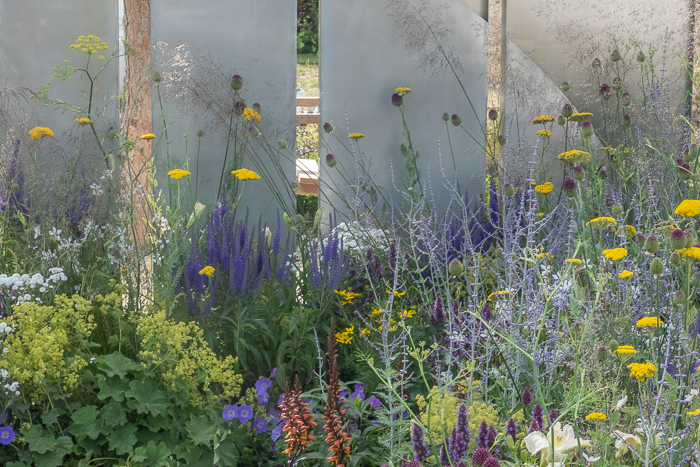 The Joy Club Garden by Garden Designer Zavier Kwek for Hampton Court Palace Garden Festival 