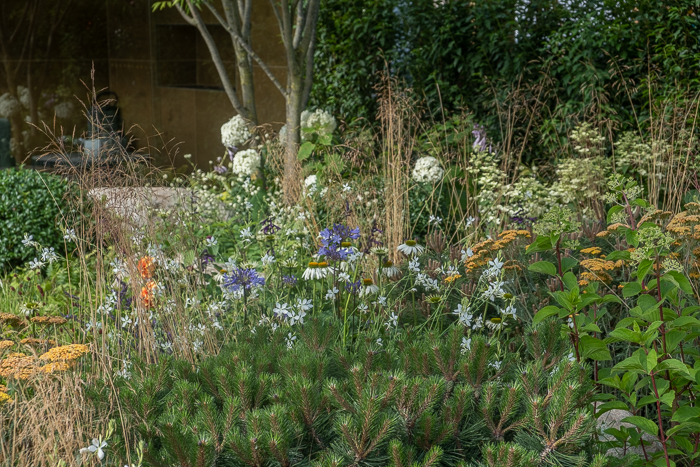 The ‘SunsLifestyle’ Outdoor Living Garden by garden designer Samuel Moore for Hampton Court Flower Show 2022