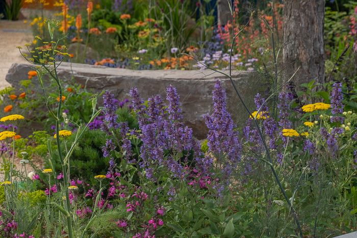 Over the Wall Garden: Sponsored by Takeda UK by Garden Designer Matthew Childs for Hampton Court Palace Garden Festival