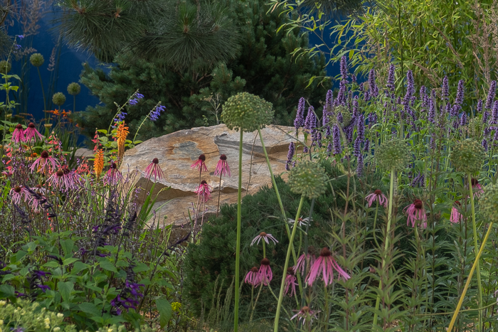 Over the Wall Garden: Sponsored by Takeda UK by Garden Designer Matthew Childs for Hampton Court Palace Garden Festival