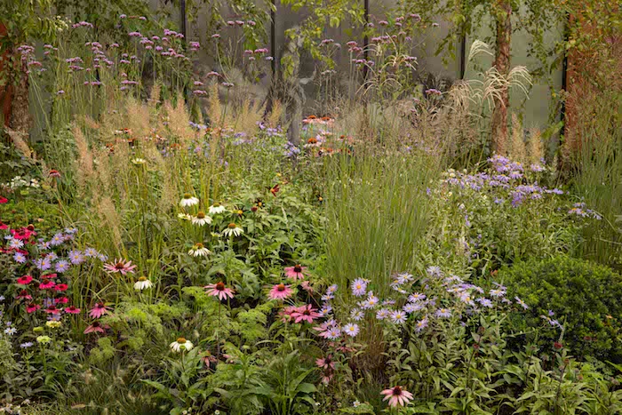 Chelsea Flower Show 2021: Show gardens: The Florence Nightingale Garden by designer Robert Myers
