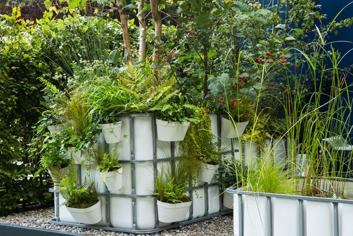 Container Gardens: The IBC Pocket Forest by garden designer Sara Edwards