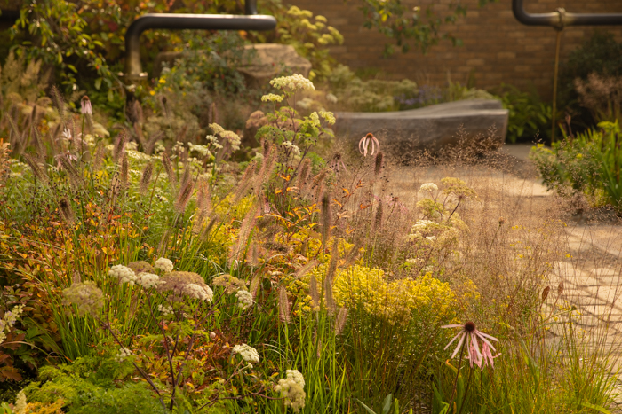 Chelsea Flower Show 2021: Show gardens: M&G Garden designed by Charlotte Harris and Hugo Bugg of Harris Bugg Studio