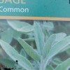 	        Salvia officinalis (Sage)	    