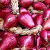 onion - Ciplooe di Tropea