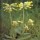 Primula veris added by Shoot)