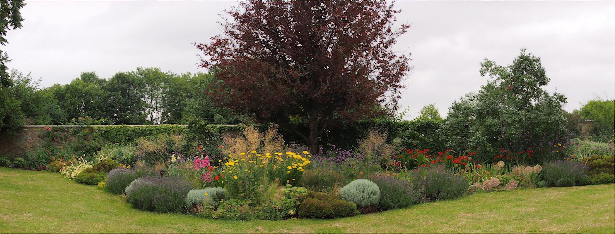 Tim Ewbank's garden