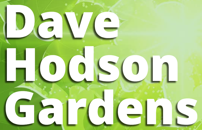Dave Hodson Gardens