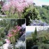 Hill Garden in France