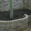 Need help with shade planting under trees, please. (22/01/2012)